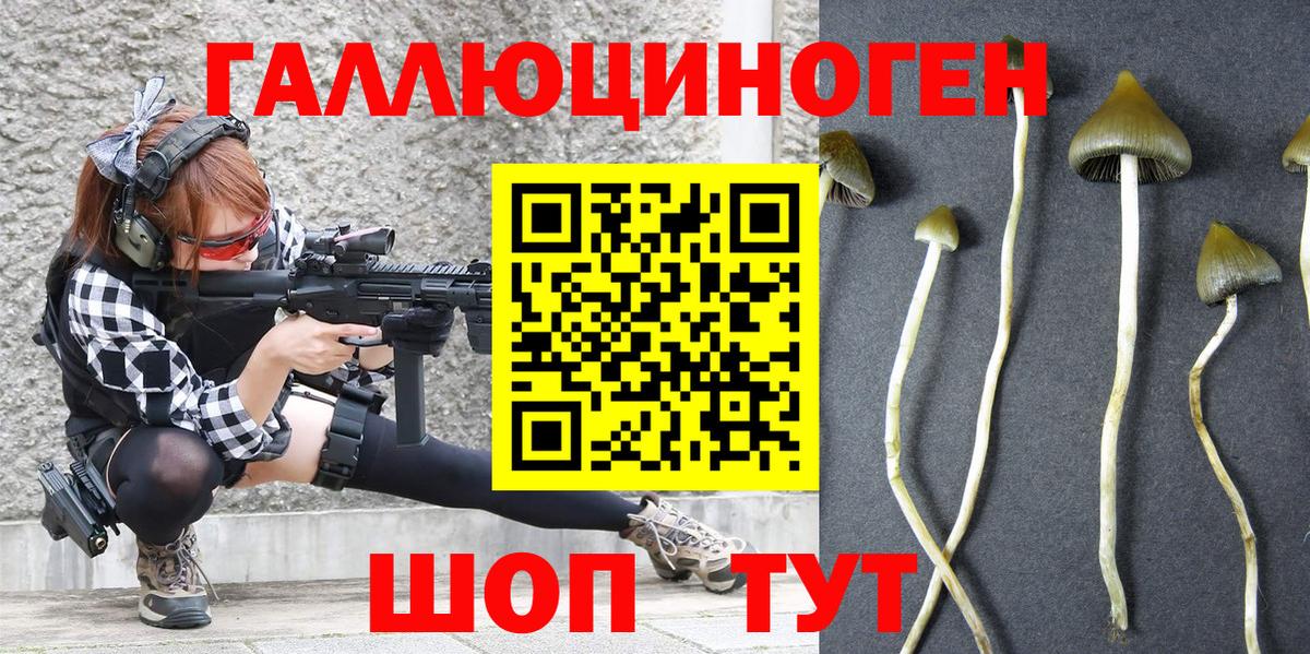 Псилоцибиновые грибы Magic Shrooms  Вход с VPN  Полысаево 