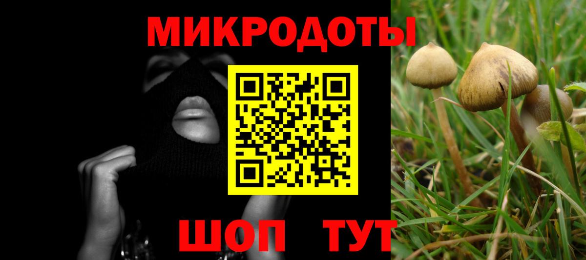 Галлюциногенные грибы мухоморы Полысаево